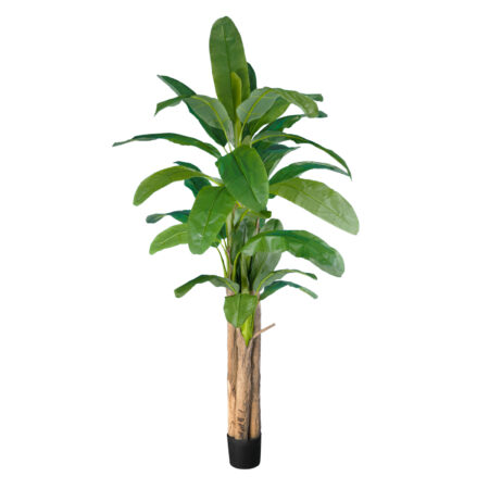 BANANA TREE 20019 - Τεχνητό Διακοσμητικό Φυτό Μπανανιά - Μπανανόδεντρο Υ280cm - Τεχνητες Μπανανιες