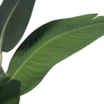 STRELITZIA 20024 Τεχνητό Διακοσμητικό Φυτό  Στρελίτσια - Πουλί του Παραδείσου Υ90cm