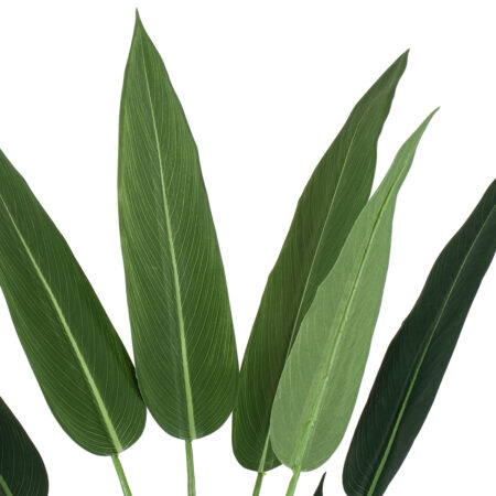 STRELITZIA 20029 Τεχνητό Διακοσμητικό Φυτό  Στρελίτσια - Πουλί του Παραδείσου Υ140cm - Τεχνητες Στρελιτσιες (Πουλι παραδεισου) Sticky 1