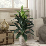 DRACAENA SILK 20042 - Τεχνητό Διακοσμητικό Φυτό Δράκαινα Υ90cm