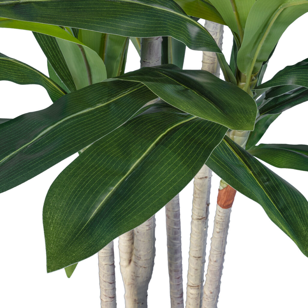 DRACAENA SILK 20044 - Τεχνητό Διακοσμητικό Φυτό Δράκαινα Υ170cm