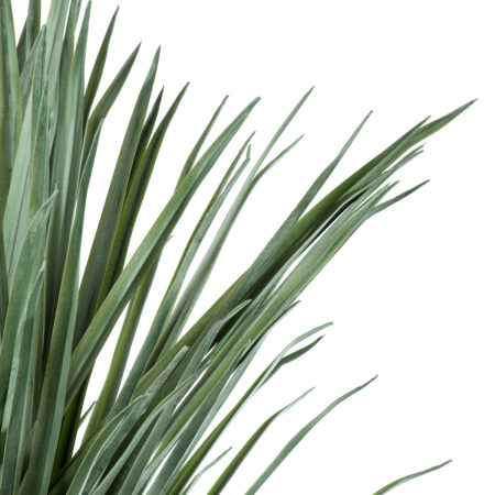 BEAUCARNEA PALM TREE 20046 Τεχνητό Διακοσμητικό Φυτό Κυρτόφυλλος Μπουκαρνέα Υ165cm - Τεχνητοι Φοινικες Sticky 1