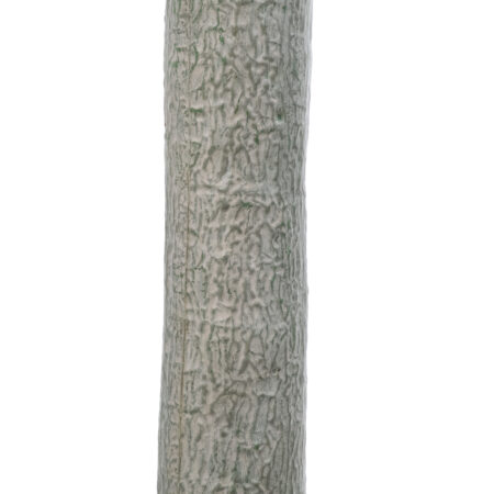 BEAUCARNEA PALM TREE 20047 Τεχνητό Διακοσμητικό Φυτό Κυρτόφυλλος Μπουκαρνέα Υ200cm - Τεχνητοι Φοινικες Sticky 3