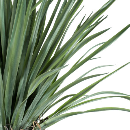 BEAUCARNEA PALM TREE 20048 Τεχνητό Διακοσμητικό Φυτό Κυρτόφυλλος Μπουκαρνέα Υ250cm - Τεχνητοι Φοινικες Sticky 1