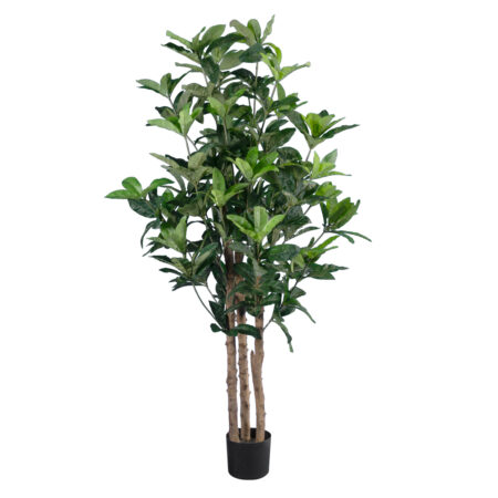 FORTUNE GUIANA TREE 20056 Τεχνητό Διακοσμητικό Φυτό Καστανιά του Μαλαμπάρ Υ160cm - Τροπικα και Ιδιαιτερα Τεχνητα φυτα