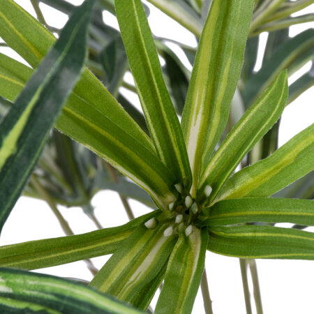 BROADLEAF LADY PALM 20059 Τεχνητό Διακοσμητικό Φυτό Πλατύφυλλος Φοίνικας Μπαμπού Υ50cm - Τεχνητα Μπαμπου Sticky 1