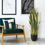 BLOODLEAF DRACAENA TRIFASCIATA 20061 Τεχνητό Διακοσμητικό Φυτό Αιματόφυλλη Σανσεβιέρια Υ90cm