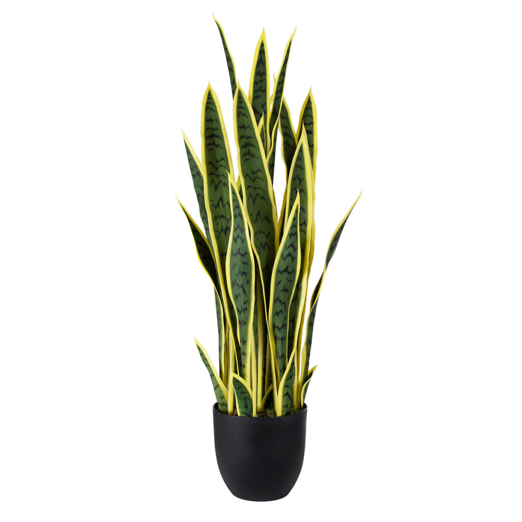 BLOODLEAF DRACAENA TRIFASCIATA 20061 Τεχνητό Διακοσμητικό Φυτό Αιματόφυλλη Σανσεβιέρια Υ90cm