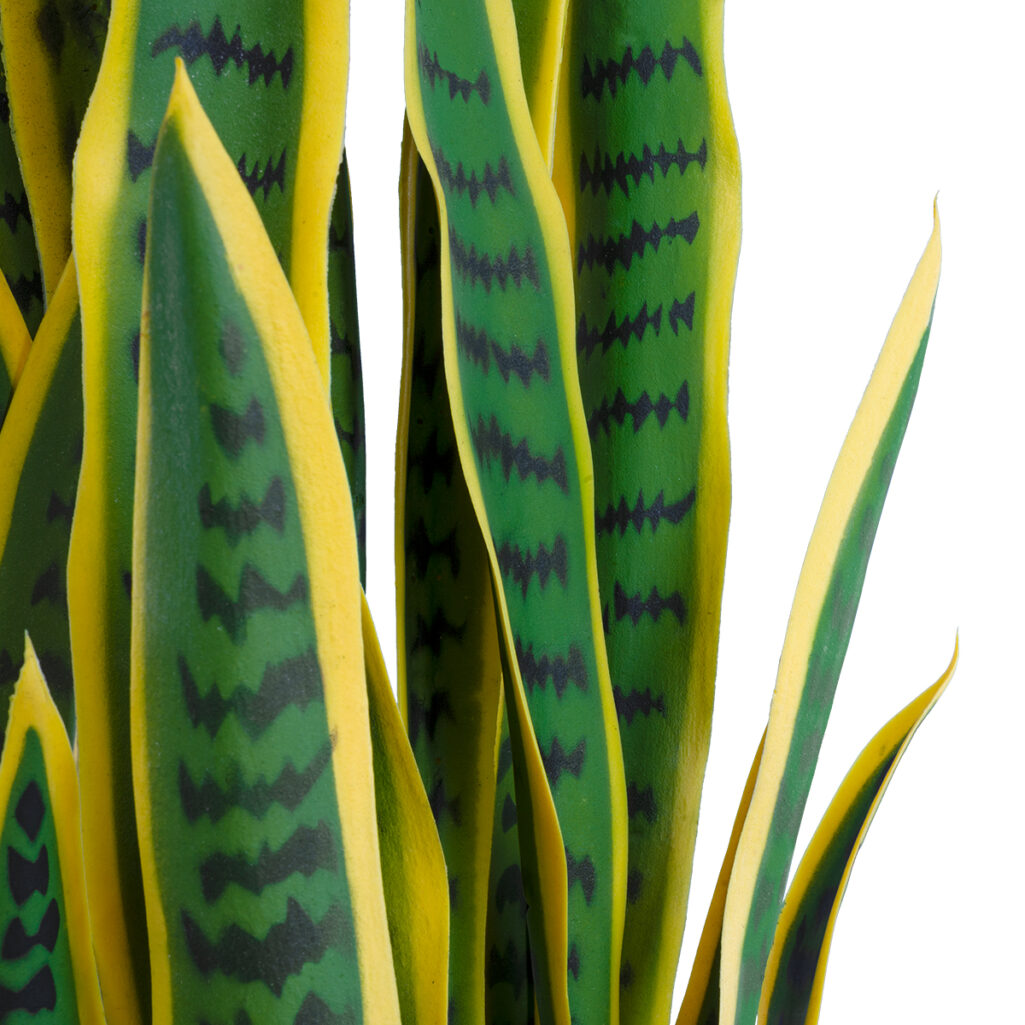 BLOODLEAF DRACAENA TRIFASCIATA 20062 Τεχνητό Διακοσμητικό Φυτό Αιματόφυλλη Σανσεβιέρια Υ100cm