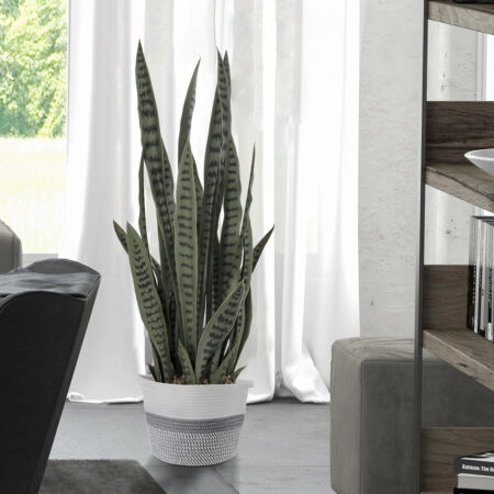 DRACAENA TRIFASCIATA 20063 Τεχνητό Διακοσμητικό Φυτό Σανσεβιέρια Υ90cm - Τεχνητοι Κακτοι Sticky 4