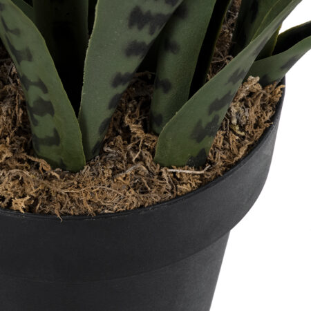 DRACAENA TRIFASCIATA 20063 Τεχνητό Διακοσμητικό Φυτό Σανσεβιέρια Υ90cm - Τεχνητοι Κακτοι Sticky 3
