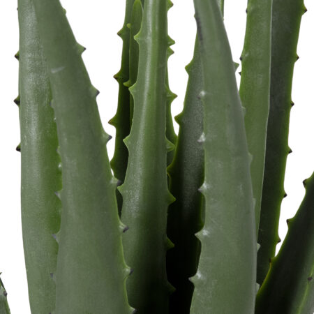 ALOE 20064 Τεχνητό Διακοσμητικό Φυτό Αλόη Υ38cm - Τεχνητοι Κακτοι Sticky 1