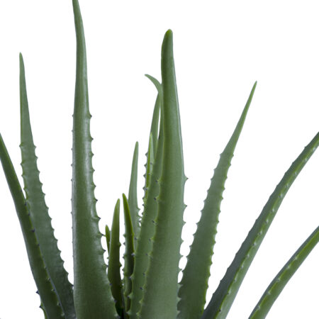 ALOE 20065 Τεχνητό Διακοσμητικό Φυτό Αλόη Υ50cm - Τεχνητοι Κακτοι Sticky 1