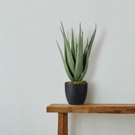 ALOE 20066 Τεχνητό Διακοσμητικό Φυτό Αλόη Υ65cm - Τεχνητοι Κακτοι Sticky 3