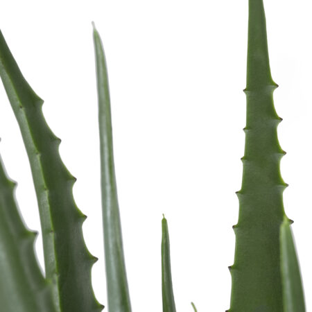ALOE 20066 Τεχνητό Διακοσμητικό Φυτό Αλόη Υ65cm - Τεχνητοι Κακτοι Sticky 1