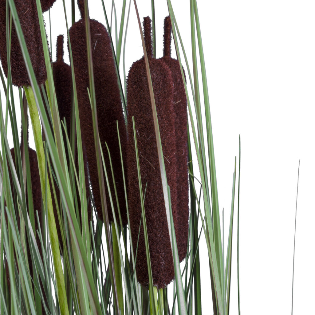 TYPHA ANGUSTIFOLIA GRASS 20070 Τεχνητό Διακοσμητικό Φυτό Γρασίδι της Τύφας Υ120cm