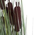 TYPHA ANGUSTIFOLIA GRASS 20070 Τεχνητό Διακοσμητικό Φυτό Γρασίδι της Τύφας Υ120cm