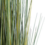 PAMPAS GRASS 20072 Τεχνητό Διακοσμητικό Φυτό Γρασίδι της Πάμπας Υ170cm