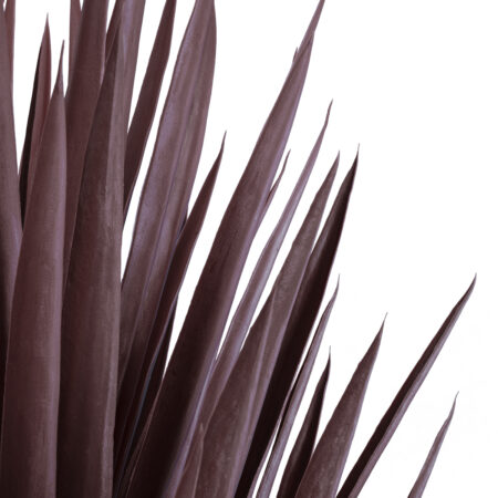 SISAL AGAVE 20075 Τεχνητό Διακοσμητικό Φυτό Αγαύη Υ70cm - Τεχνητοι Κακτοι Sticky 1