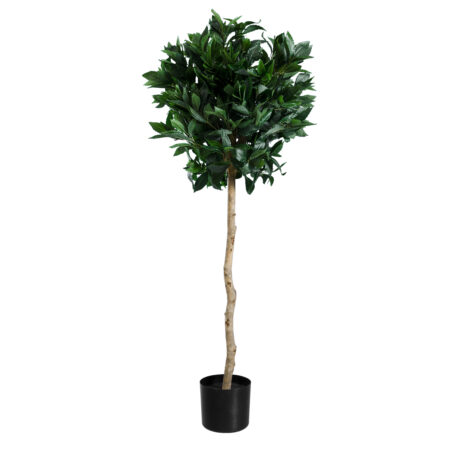 LAUREL 20084 Τεχνητό Διακοσμητικό Φυτό Δάφνη Υ120cm - Τεχνητα Κωνοφορα και διαμορφωμενα φυτα