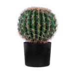FEROCACTUS 20091 Τεχνητό Διακοσμητικό Φυτό Φερόκακτος Υ36cm