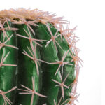 FEROCACTUS 20092 Τεχνητό Διακοσμητικό Φυτό Φερόκακτος Υ26cm