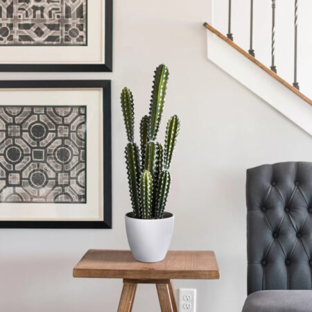 CEREUS JAMACARU CACTUS 20095 Τεχνητό Διακοσμητικό Φυτό Κάκτος Κηρίος Υ71cm - Τεχνητοι Κακτοι Sticky 4
