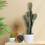 OPUNTIA FICUS-INDICA CACTUS 20096 Τεχνητό Διακοσμητικό Φυτό Κάκτος Φραγκοσυκιά Υ60cm