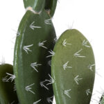 OPUNTIA FICUS-INDICA CACTUS 20096 Τεχνητό Διακοσμητικό Φυτό Κάκτος Φραγκοσυκιά Υ60cm