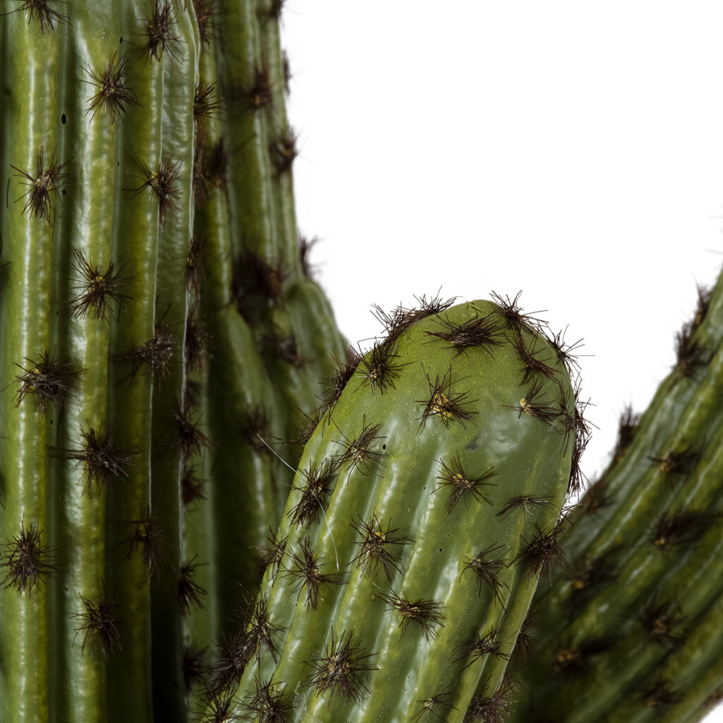 CARNEGIEA CACTUS 20100 Τεχνητό Διακοσμητικό Φυτό Κάκτος Σαγκουάρο Υ63cm