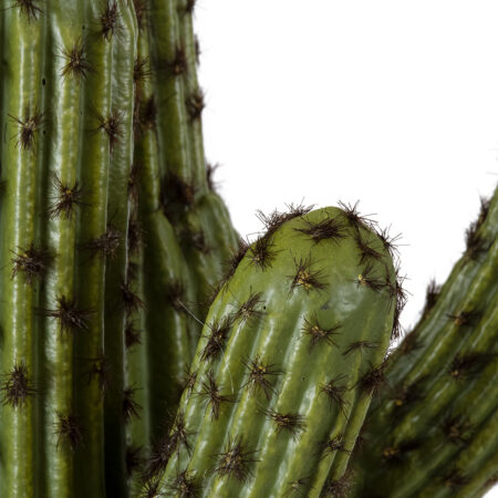 CARNEGIEA CACTUS 20100 Τεχνητό Διακοσμητικό Φυτό Κάκτος Σαγκουάρο Υ63cm - Τεχνητοι Κακτοι Sticky 1