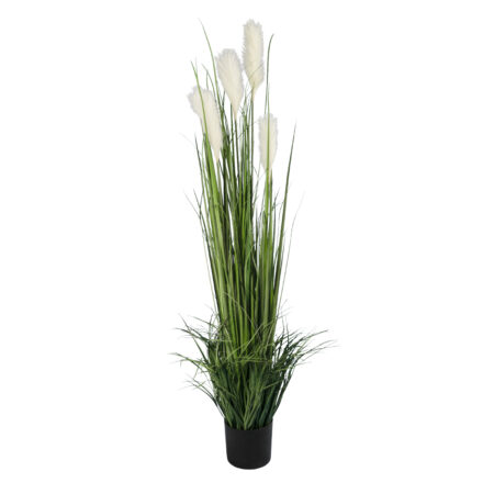 PAMPAS GRASS 20106 Τεχνητό Διακοσμητικό Φυτό Γρασίδι της Πάμπας Υ150cm - Τεχνητά Γρασίδια και Χόρτα