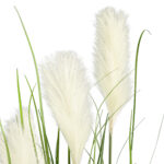 PAMPAS GRASS 20106 Τεχνητό Διακοσμητικό Φυτό Γρασίδι της Πάμπας Υ150cm