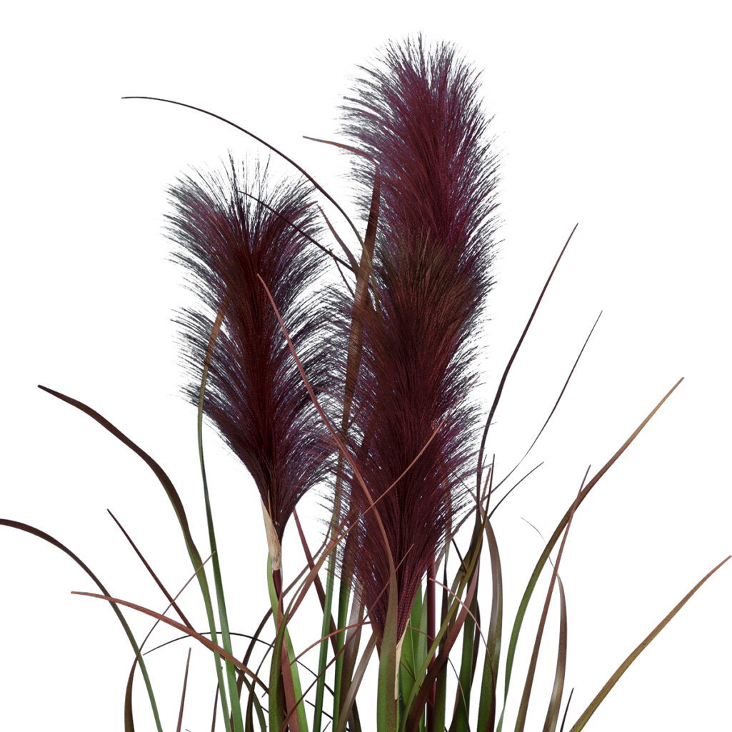 BLOODY PAMPAS GRASS 20110 Τεχνητό Διακοσμητικό Φυτό Αιματόφυλλο Γρασίδι της Πάμπας Υ150cm