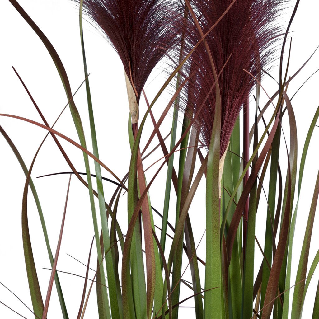 BLOODY PAMPAS GRASS 20110 Τεχνητό Διακοσμητικό Φυτό Αιματόφυλλο Γρασίδι της Πάμπας Υ150cm