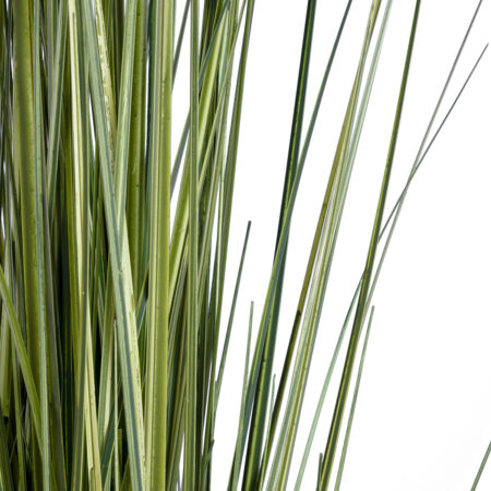 LAGURUS GRASS 20111 Τεχνητό Διακοσμητικό Φυτό Λαγοουρά Υ150cm - Τεχνητά Γρασίδια και Χόρτα Sticky 2