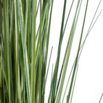 CRASPEDIA GRASS 20112 Τεχνητό Διακοσμητικό Φυτό Κρασπέδια Υ150cm