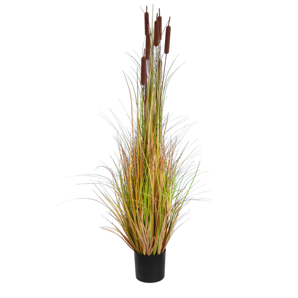 TYPHA ANGUSTIFOLIA GRASS 20114 Τεχνητό Διακοσμητικό Φυτό Γρασίδι της Τύφας Υ150cm