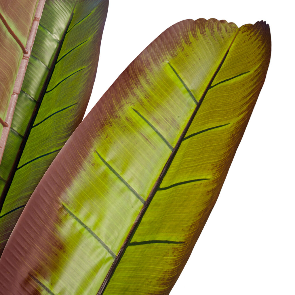 BLOODY BANANA TREE 20118 - Τεχνητό Διακοσμητικό Φυτό Αιματόφυλλη Μπανανιά - Μπανανόδεντρο Υ190cm