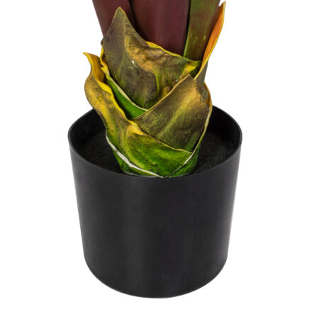 BLOODY BANANA TREE 20118 - Τεχνητό Διακοσμητικό Φυτό Αιματόφυλλη Μπανανιά - Μπανανόδεντρο Υ190cm - Τεχνητες Μπανανιες Sticky 2