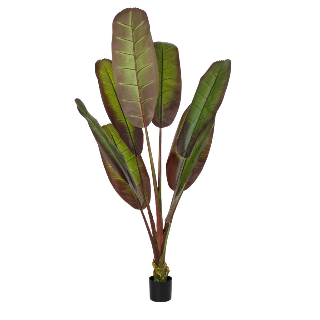 BLOODY BANANA TREE 20119 - Τεχνητό Διακοσμητικό Φυτό Αιματόφυλλη Μπανανιά - Μπανανόδεντρο Υ220cm