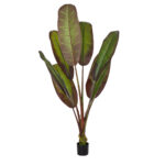 BLOODY BANANA TREE 20119 - Τεχνητό Διακοσμητικό Φυτό Αιματόφυλλη Μπανανιά - Μπανανόδεντρο Υ220cm
