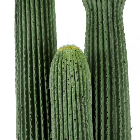 CARNEGIEA CACTUS 20123 Τεχνητό Διακοσμητικό Φυτό Κάκτος Σαγκουάρο Υ160cm - Τεχνητοι Κακτοι Sticky 1