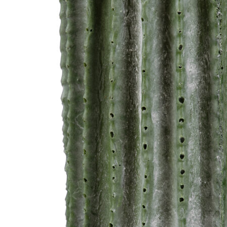 CARNEGIEA CACTUS 20124 Τεχνητό Διακοσμητικό Φυτό Κάκτος Σαγκουάρο Υ70cm - Τεχνητοι Κακτοι Sticky 1