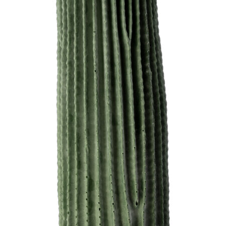 CARNEGIEA CACTUS 20125 Τεχνητό Διακοσμητικό Φυτό Κάκτος Σαγκουάρο Υ85cm - Τεχνητοι Κακτοι Sticky 1