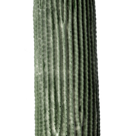 CARNEGIEA CACTUS 20126 Τεχνητό Διακοσμητικό Φυτό Κάκτος Σαγκουάρο Υ100cm - Τεχνητοι Κακτοι Sticky 1