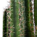 PACHYCEREUS CACTUS 20127 Τεχνητό Διακοσμητικό Φυτό Κάκτος Παχυκηρίος Υ110cm