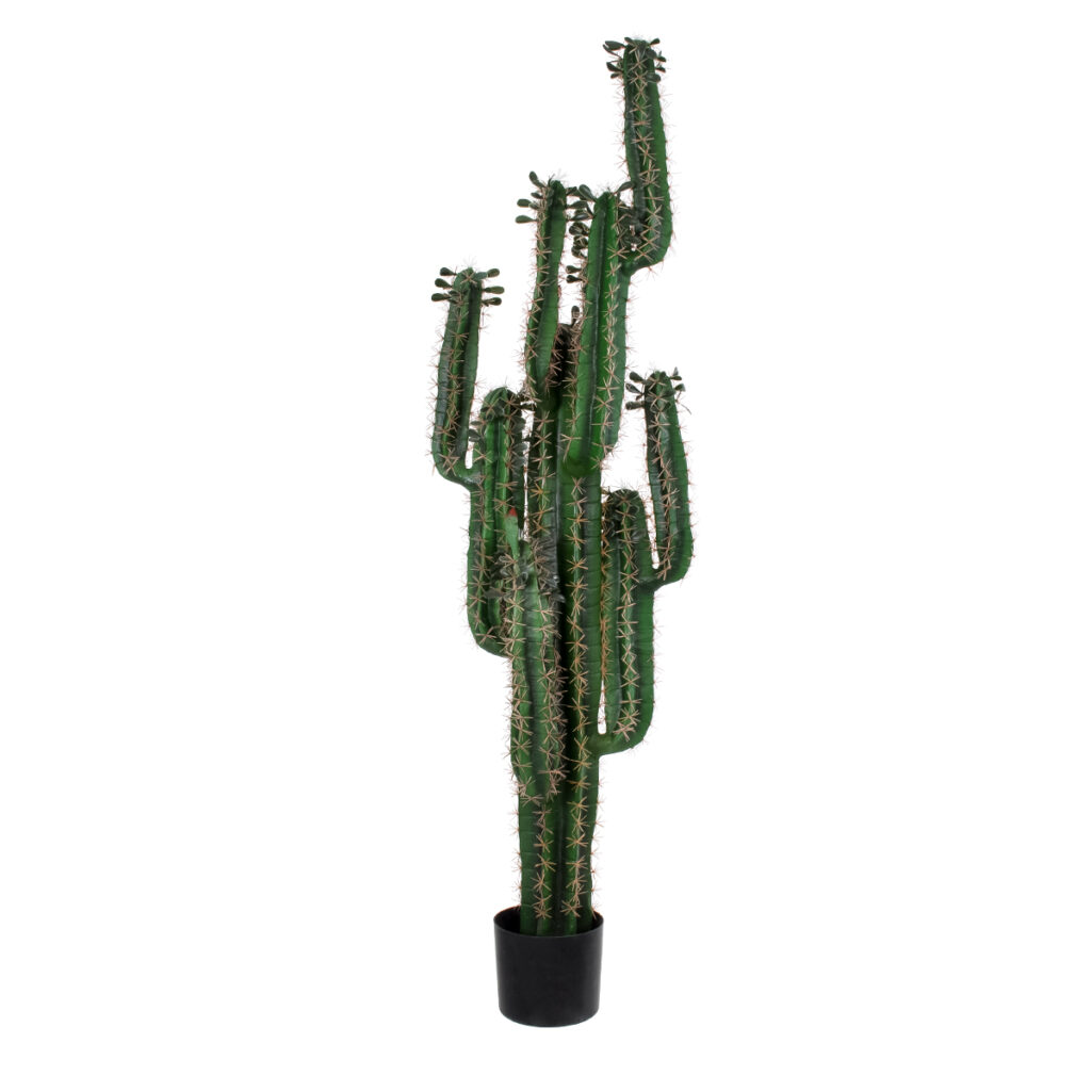 MYRTILLOCACTUS 20128 Τεχνητό Διακοσμητικό Φυτό Μυρτιλλόκακτος Υ150cm