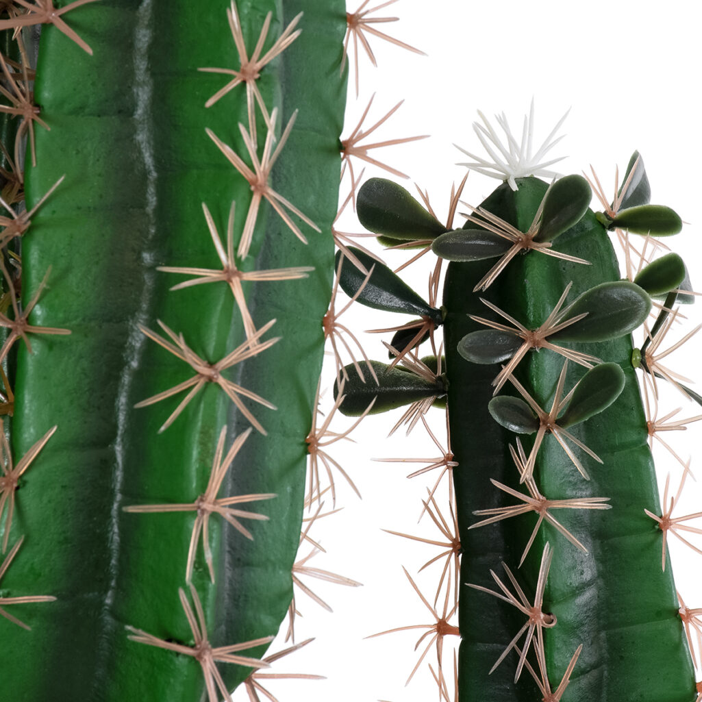 MYRTILLOCACTUS 20128 Τεχνητό Διακοσμητικό Φυτό Μυρτιλλόκακτος Υ150cm