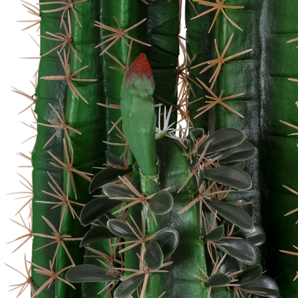 MYRTILLOCACTUS 20128 Τεχνητό Διακοσμητικό Φυτό Μυρτιλλόκακτος Υ150cm
